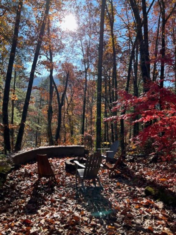 Bear Crossing-Exciting Adventure Ahead! Villa Hendersonville Luaran gambar